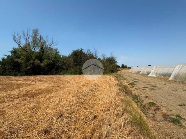 Terreno agricolo in vendita a Cesenatico