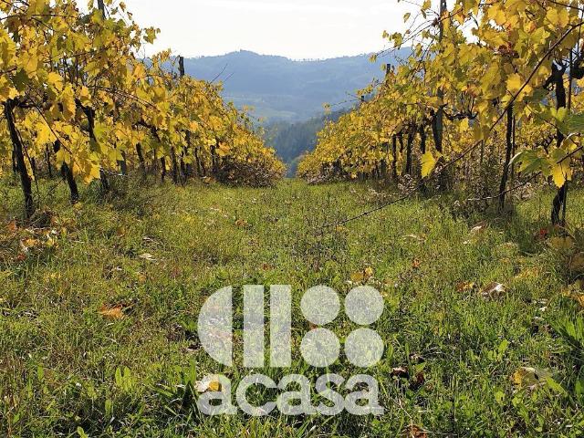 Terreno agricolo in vendita a Cesena