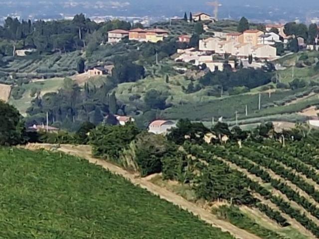 Terreno agricolo in vendita a Cesena