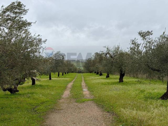 Terreno agricolo in vendita a Chiaramonte Gulfi