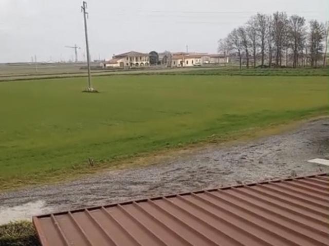 Terreno agricolo in Vendita a Chioggia