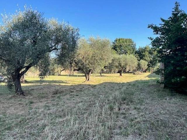 Terreno agricolo in vendita a Civita Castellana