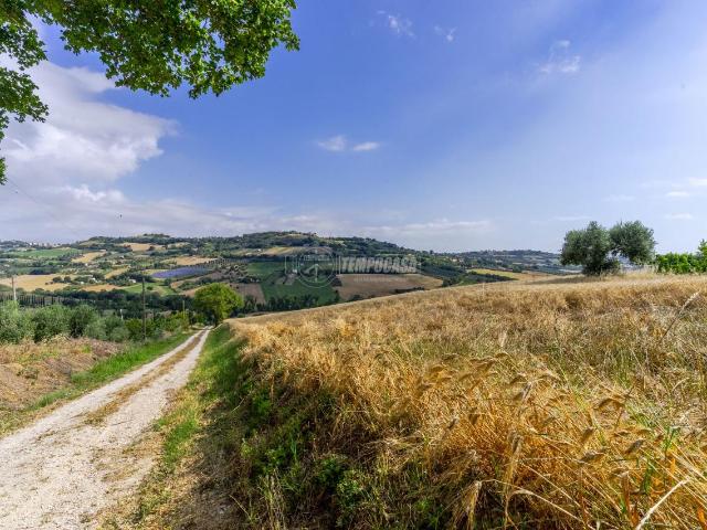Terreno agricolo in vendita a Civitanova Marche