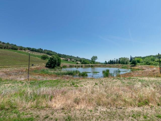 Terreno agricolo in vendita a Civitanova Marche