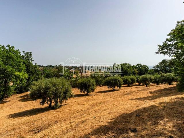 Terreno agricolo in vendita a Civitanova Marche