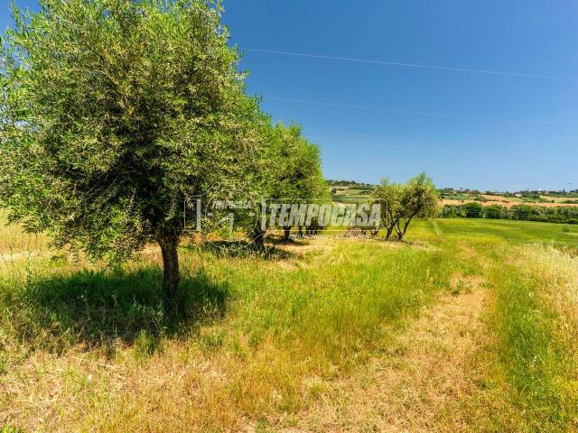 Terreno agricolo in vendita a Civitanova Marche
