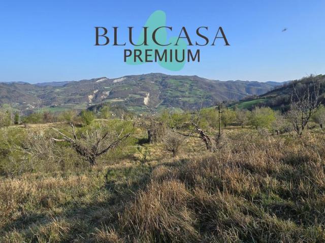 Terreno agricolo in vendita a Civitella Di Romagna