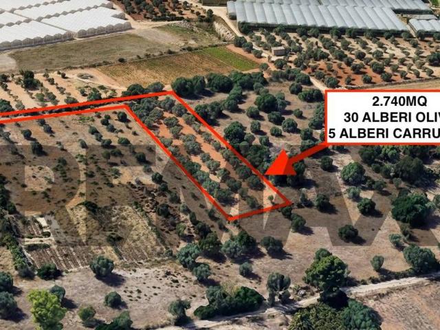Terreno agricolo in vendita a Comiso