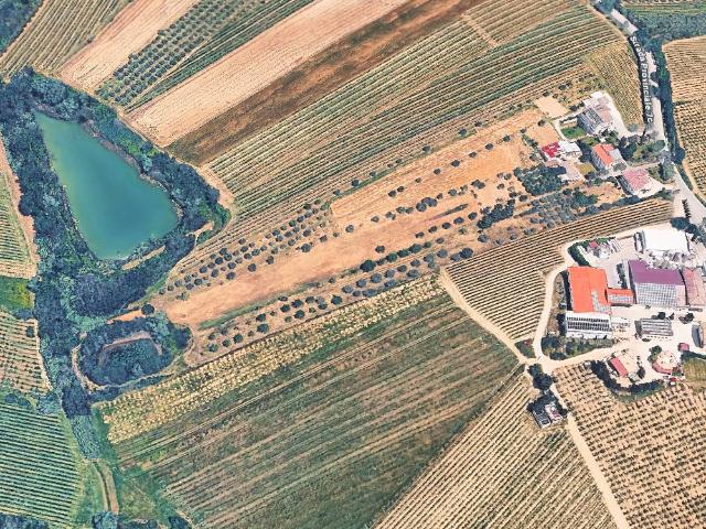 Terreno Agricolo in vendita a Controguerra