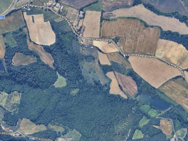 Terreno agricolo in vendita a Collazzone
