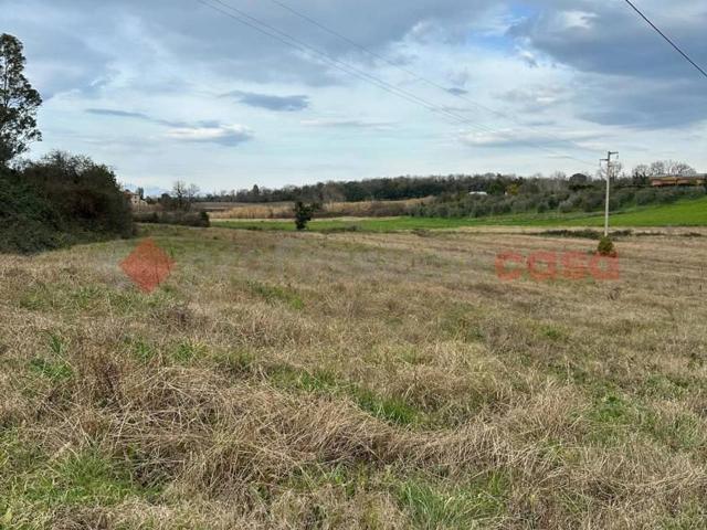Terreno agricolo in vendita a Collesalvetti
