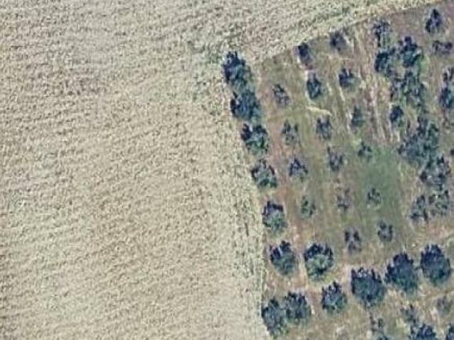 Terreno Agricolo in vendita a Collesalvetti