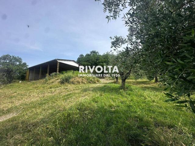 Terreno agricolo in vendita a Collevecchio