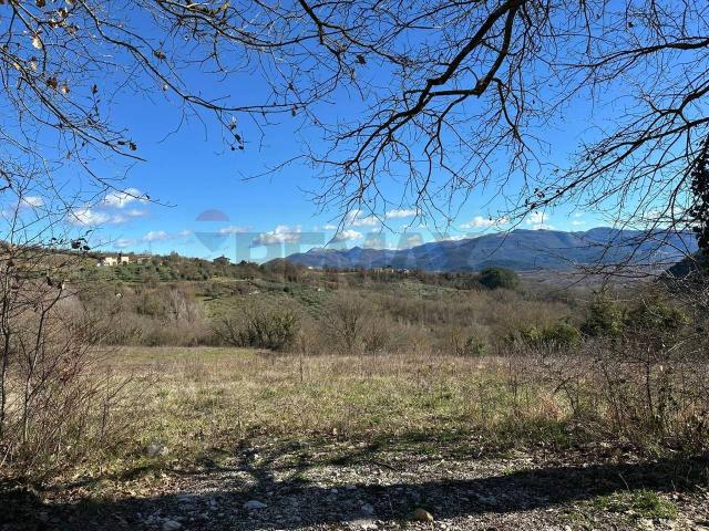 Terreno agricolo in vendita a Colli A Volturno