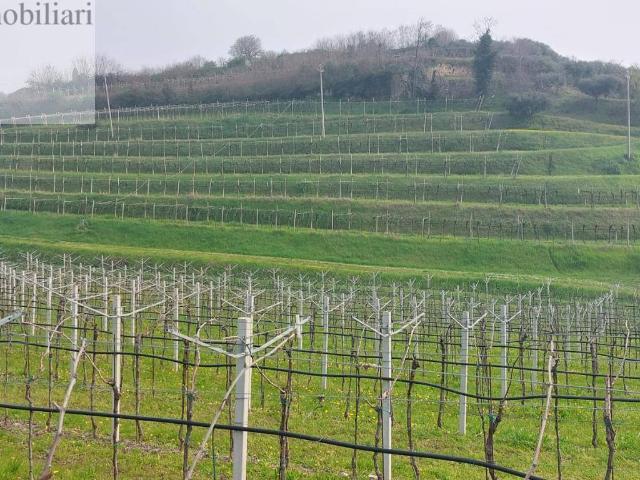 Terreno Agricolo in vendita a Colognola ai Colli