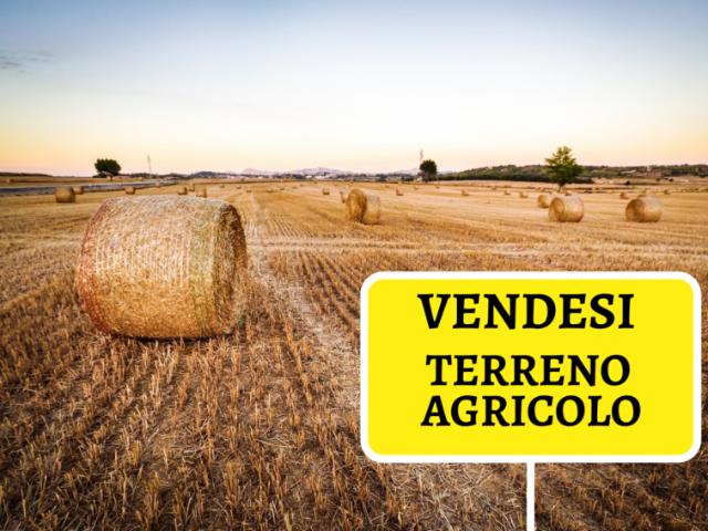 Terreno agricolo in Vendita a Correzzola