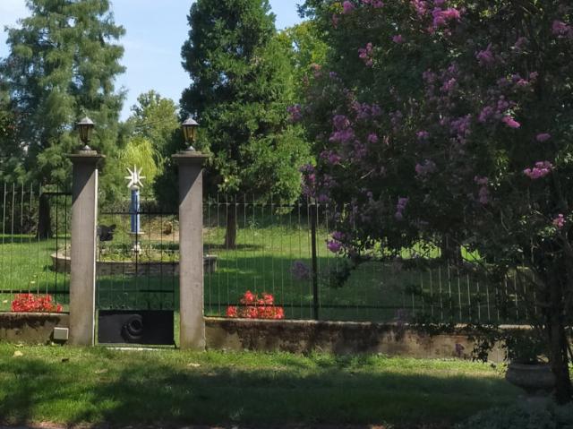Terreno agricolo in Vendita a Correzzola