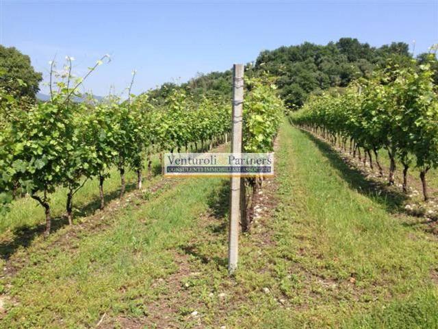 Terreno agricolo in vendita a Desenzano Del Garda