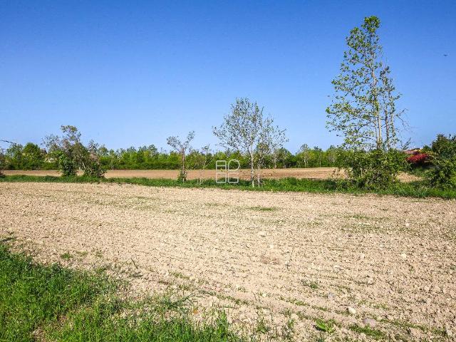 Terreno agricolo in vendita a Desenzano Del Garda