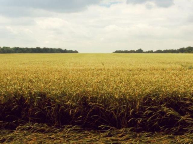 TERRENO AGRICOLO in VENDITA a DESIO