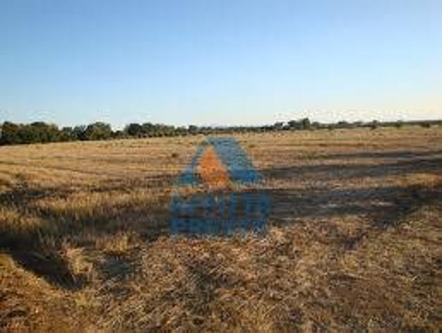 Terreno Agricolo in vendita a Empoli