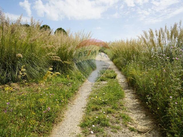 Terreno agricolo in vendita a Enna