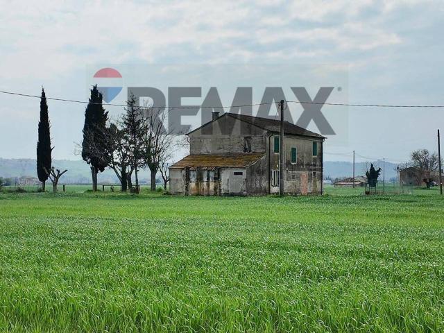 Terreno agricolo in vendita a Fano
