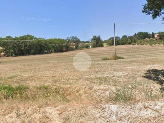 Terreno agricolo in vendita a Fano