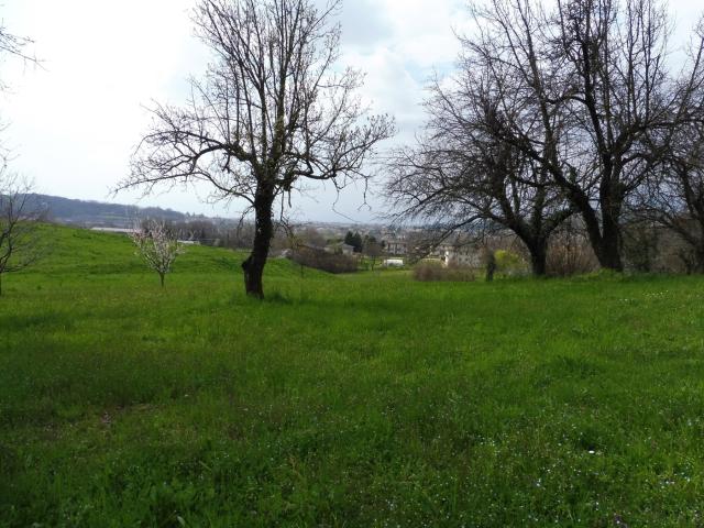 Terreno Agricolo in vendita a Fara Vicentino