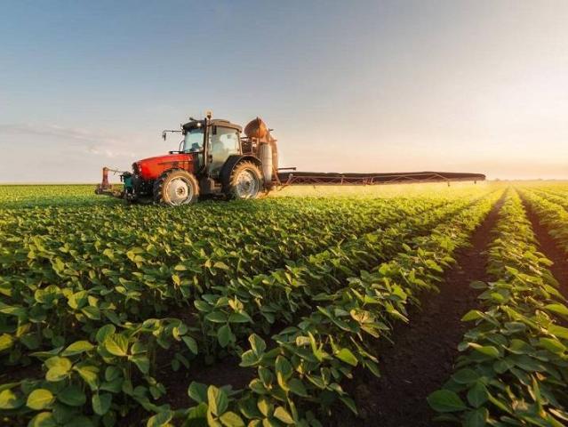 Terreno agricolo in Vendita a Fermo