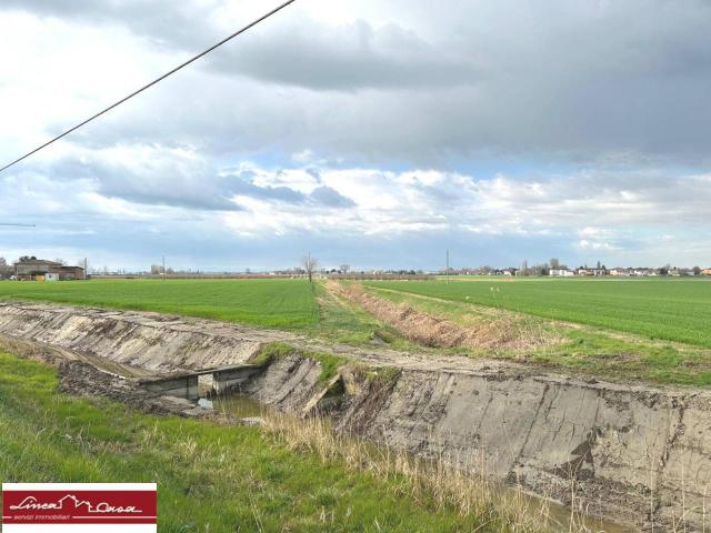 Terreno agricolo in vendita a Ferrara