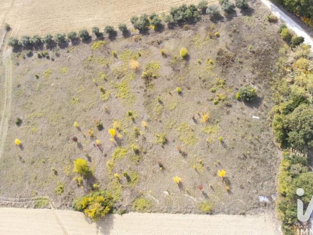 Terreno agricolo in vendita a Filottrano