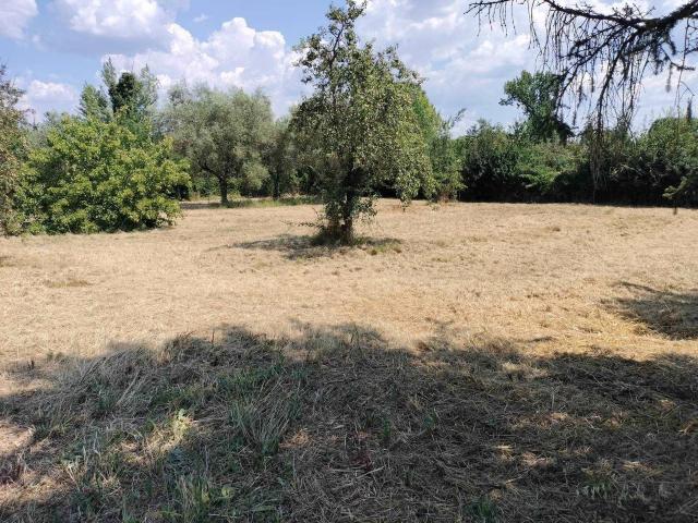 Terreno agricolo in vendita a Firenze