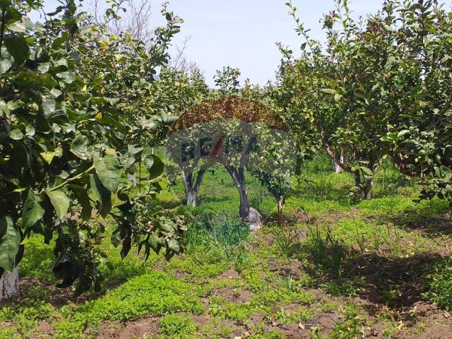 Terreno agricolo in vendita a Fiumefreddo Di Sicilia