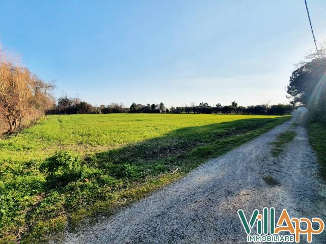 Terreno Agricolo in vendita a Fondi, Selva Vetere