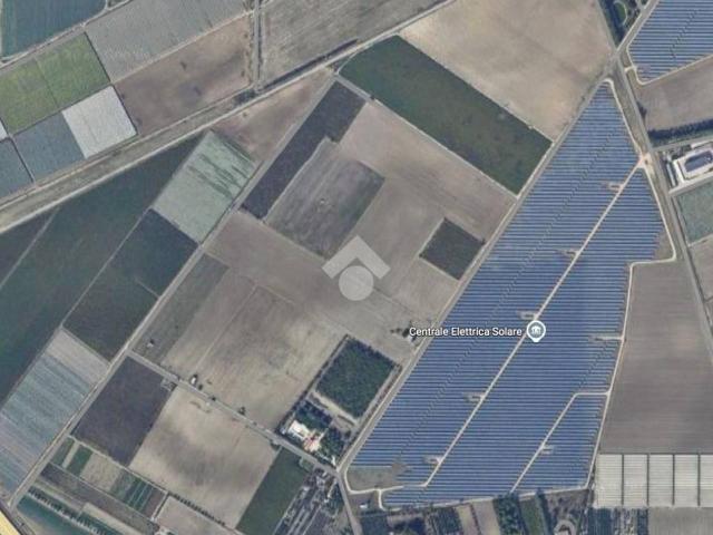 Terreno agricolo in vendita a Foggia
