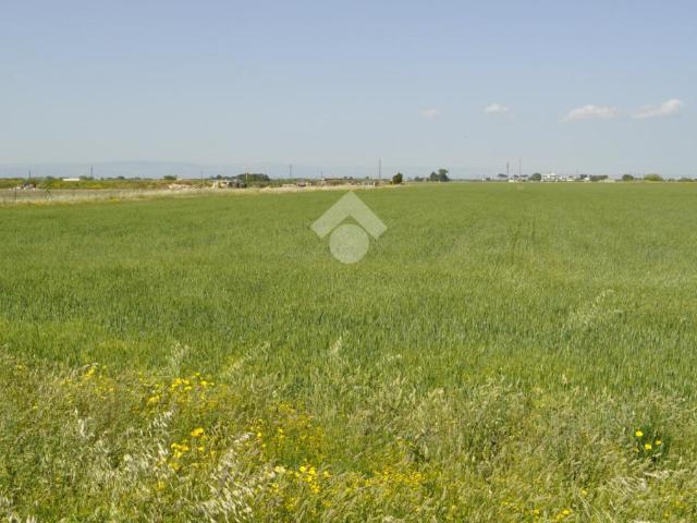 Terreno agricolo in vendita a Foggia