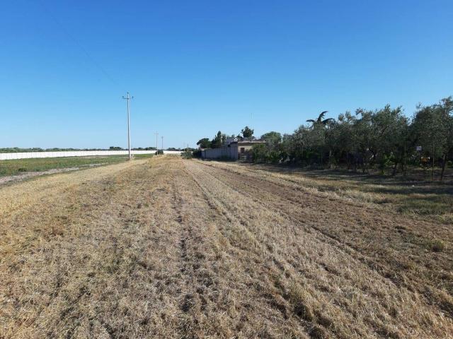 Terreno agricolo in vendita a Foggia