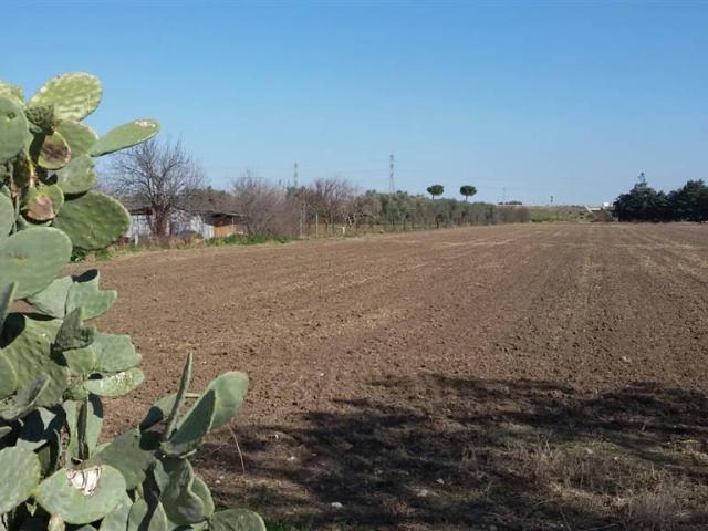 Terreno agricolo in vendita a Foggia
