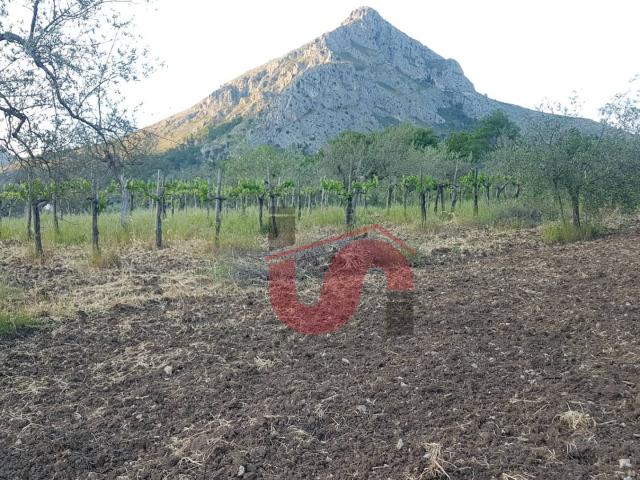 Terreno Agricolo in vendita a Foglianise