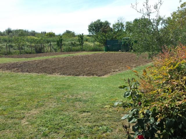 TERRENO AGRICOLO in VENDITA a FOLLONICA