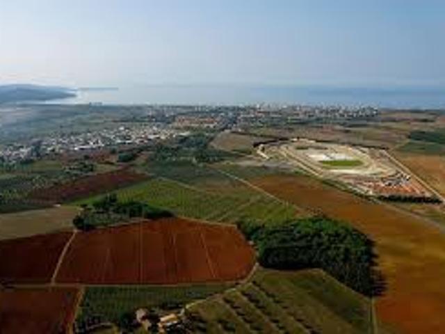 TERRENO AGRICOLO in VENDITA a FOLLONICA FUORI PAESE