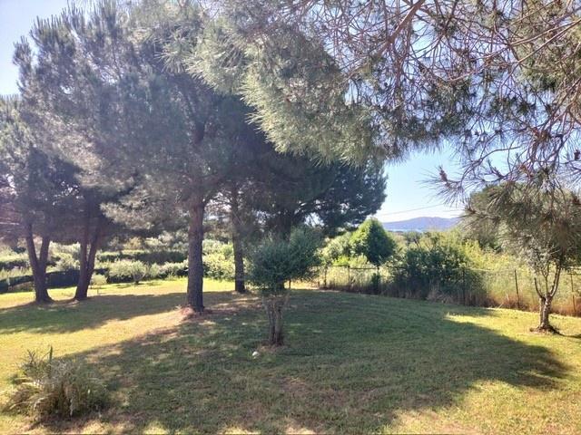 TERRENO AGRICOLO in VENDITA a FOLLONICA FUORI PAESE
