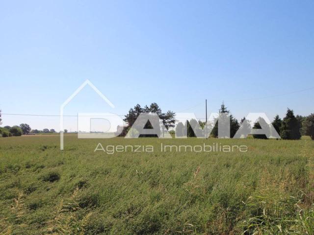 Terreno agricolo in vendita a Forli'