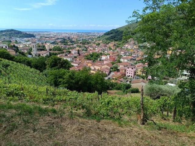 Terreno agricolo in vendita a Fossola Carrara 6000 mq Rif: 1413610
