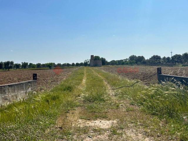 Terreno agricolo in vendita a Francavilla Fontana