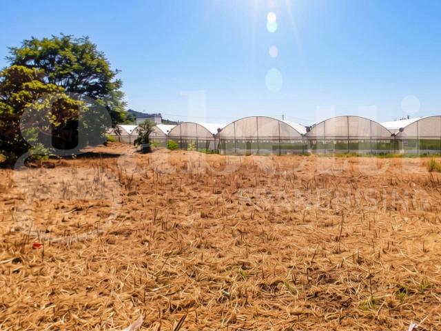 Terreno agricolo in vendita a Gaeta