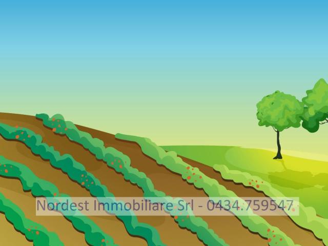 Terreno Agricolo in vendita a Gaiarine