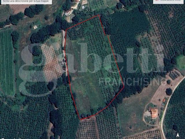 Terreno agricolo in vendita a Gallese