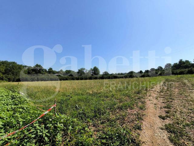 Terreno agricolo in vendita a Gallese